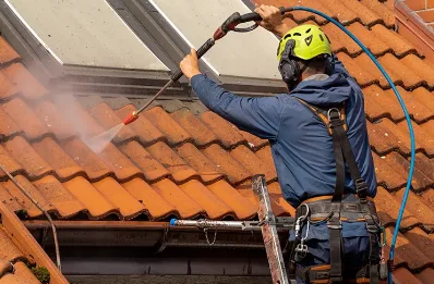 Démoussage et hydrofuge de toiture à Perrex